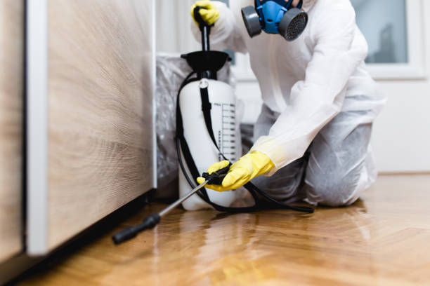 Best Emergency Pest Control  in Westvale, NY