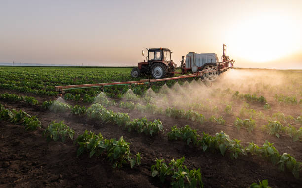 Best Pest Control Cost  in Westvale, NY