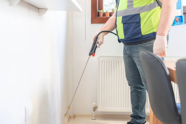 Best Termite Control Services  in Westvale, NY