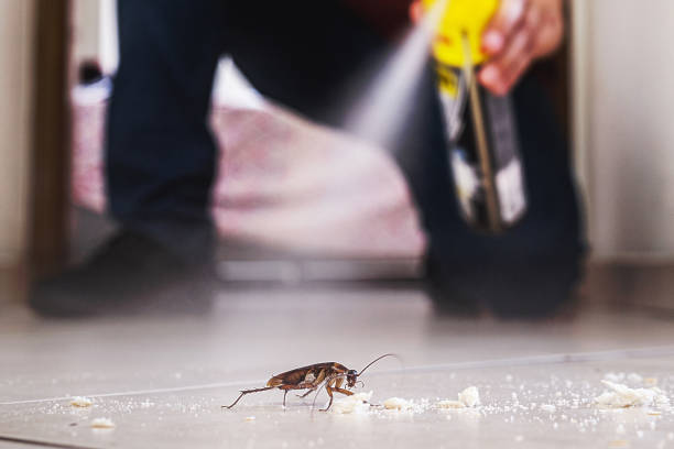 Professional Pest Control in Westvale, NY