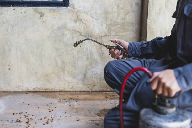 Best Pest Removal Services  in Westvale, NY